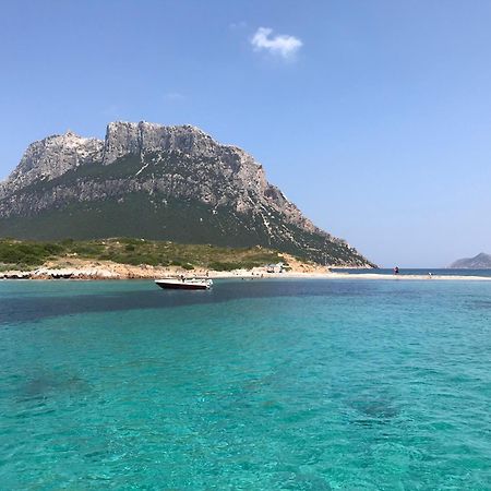 Villa Borea Golfo Aranci Exterior foto