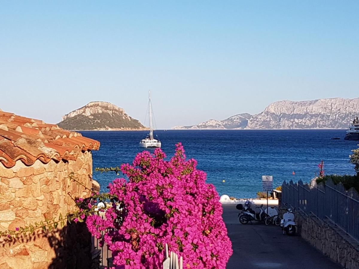 Villa Borea Golfo Aranci Exterior foto